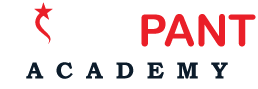 logo vidyapant academy